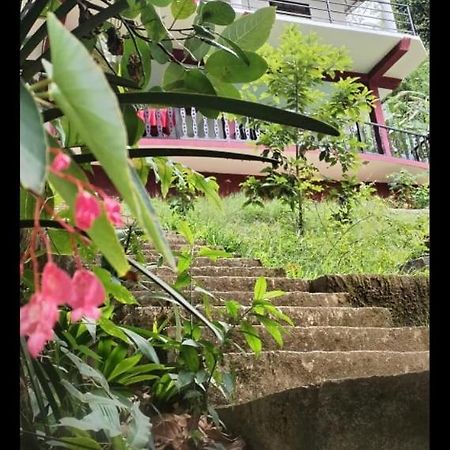Ella Shali'S Home المظهر الخارجي الصورة