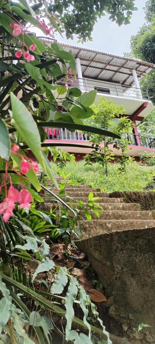 Ella Shali'S Home المظهر الخارجي الصورة