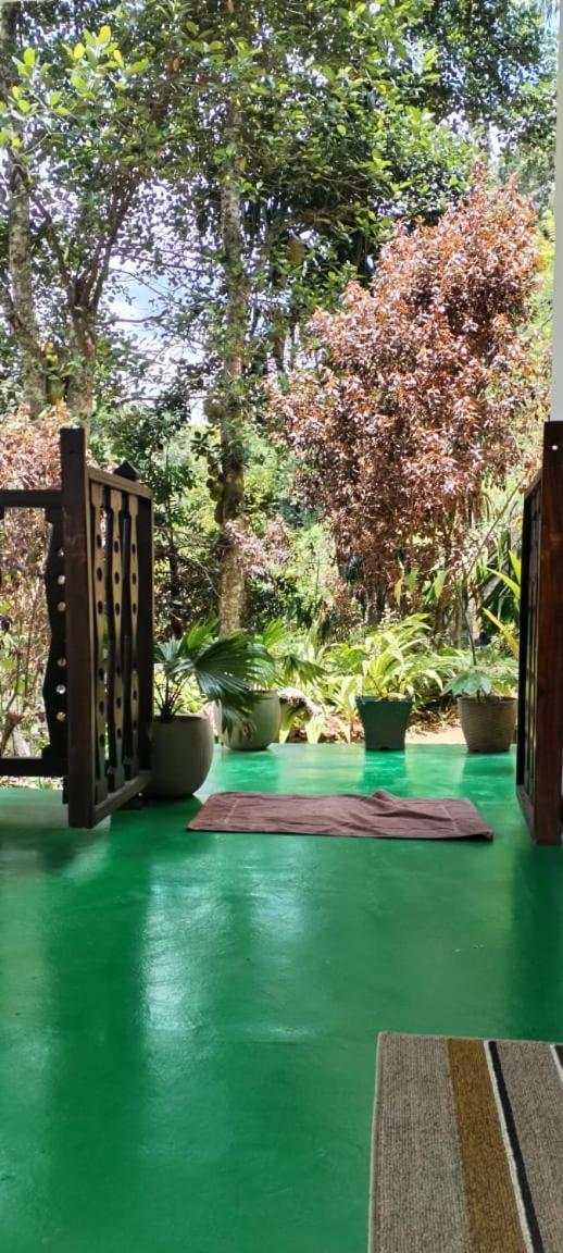 Ella Shali'S Home المظهر الخارجي الصورة