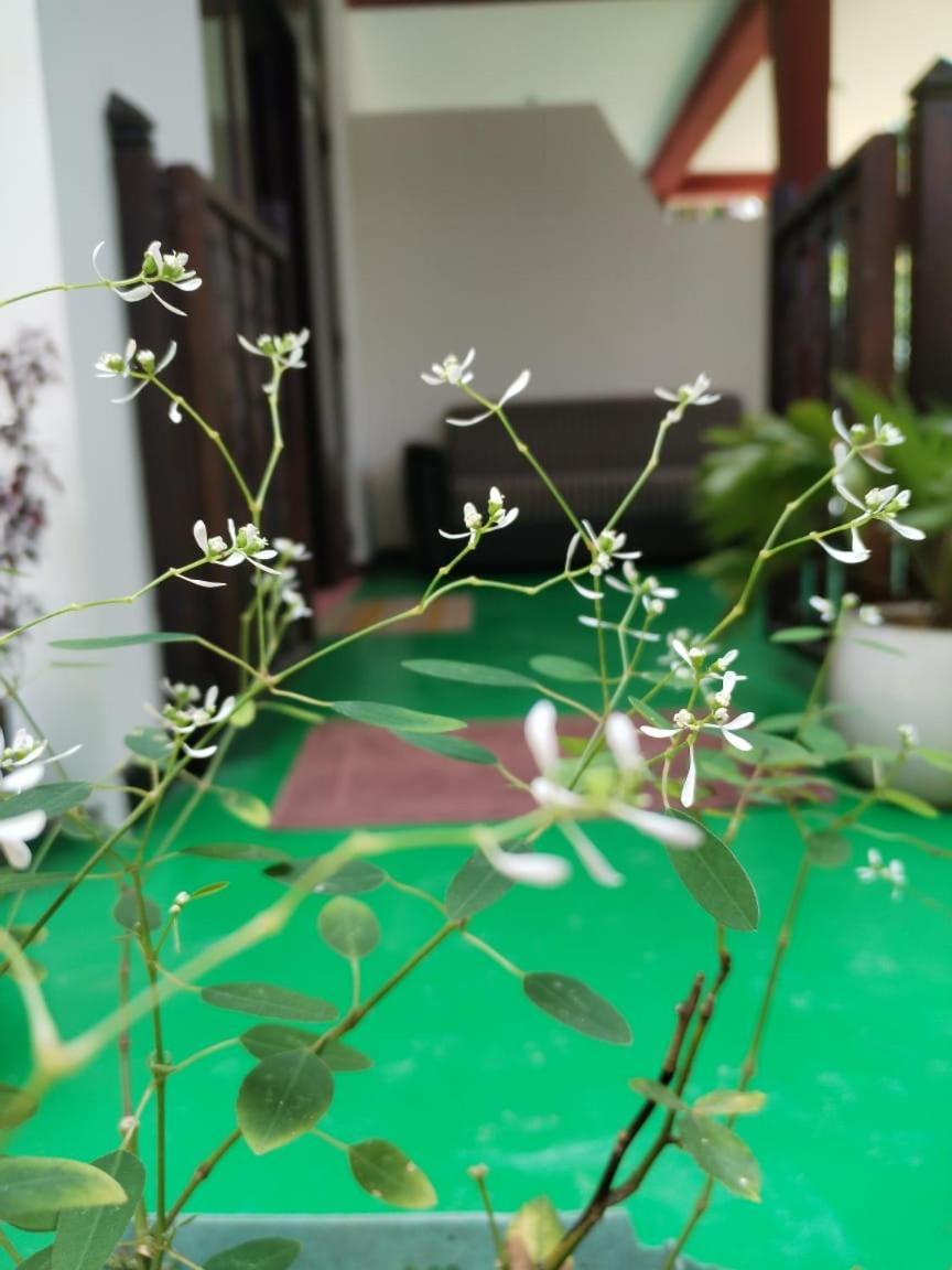 Ella Shali'S Home المظهر الخارجي الصورة