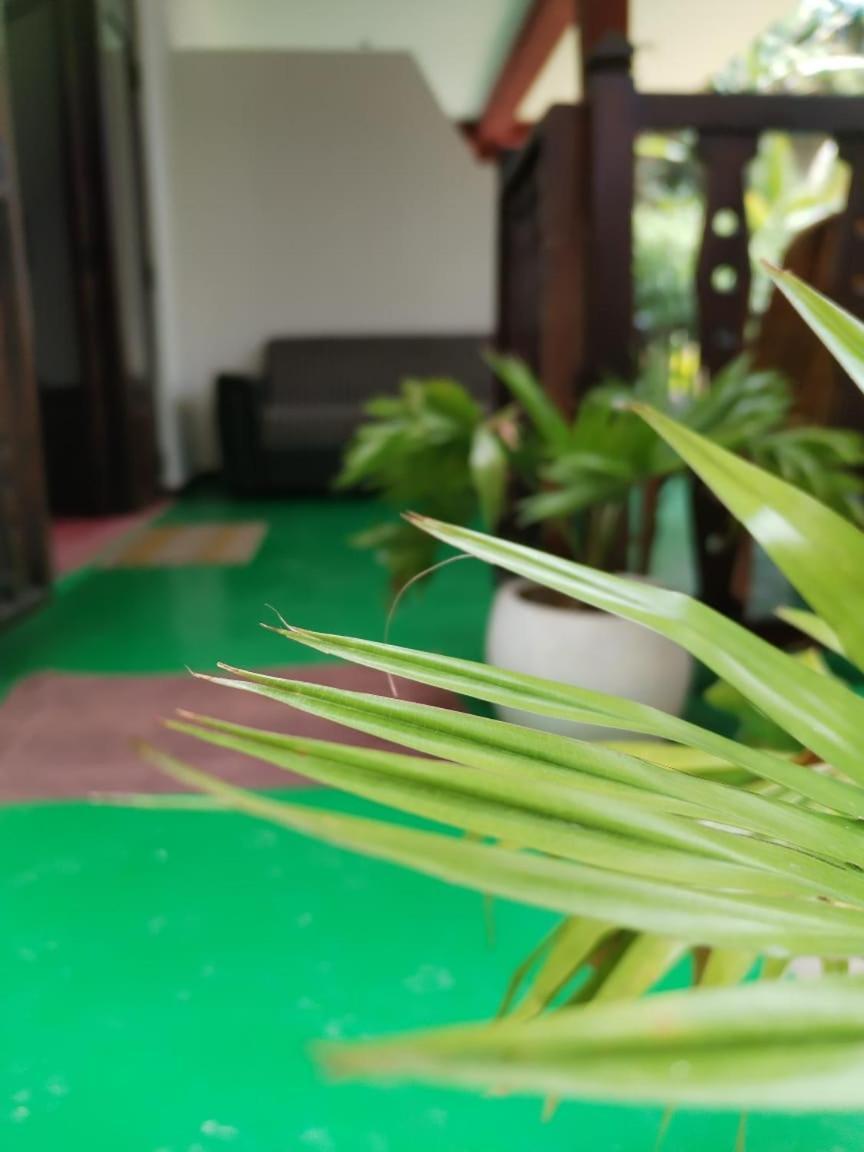 Ella Shali'S Home المظهر الخارجي الصورة