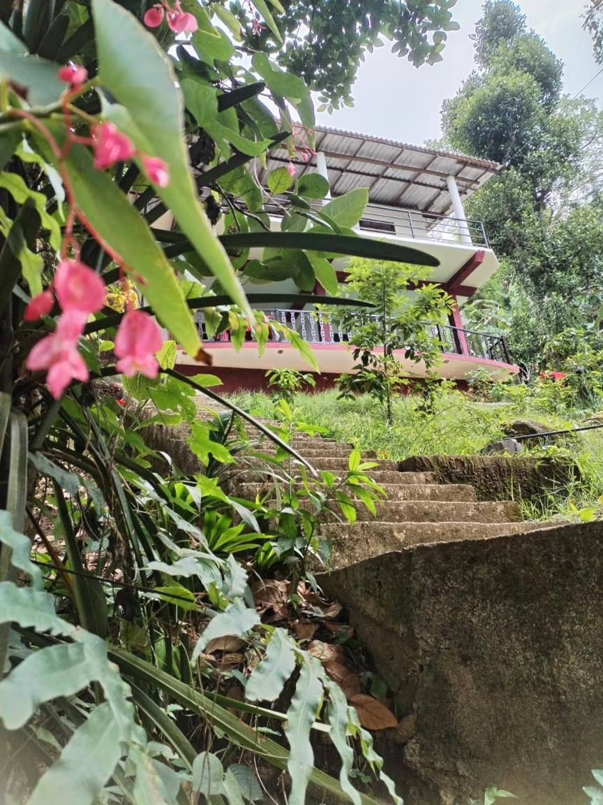 Ella Shali'S Home المظهر الخارجي الصورة