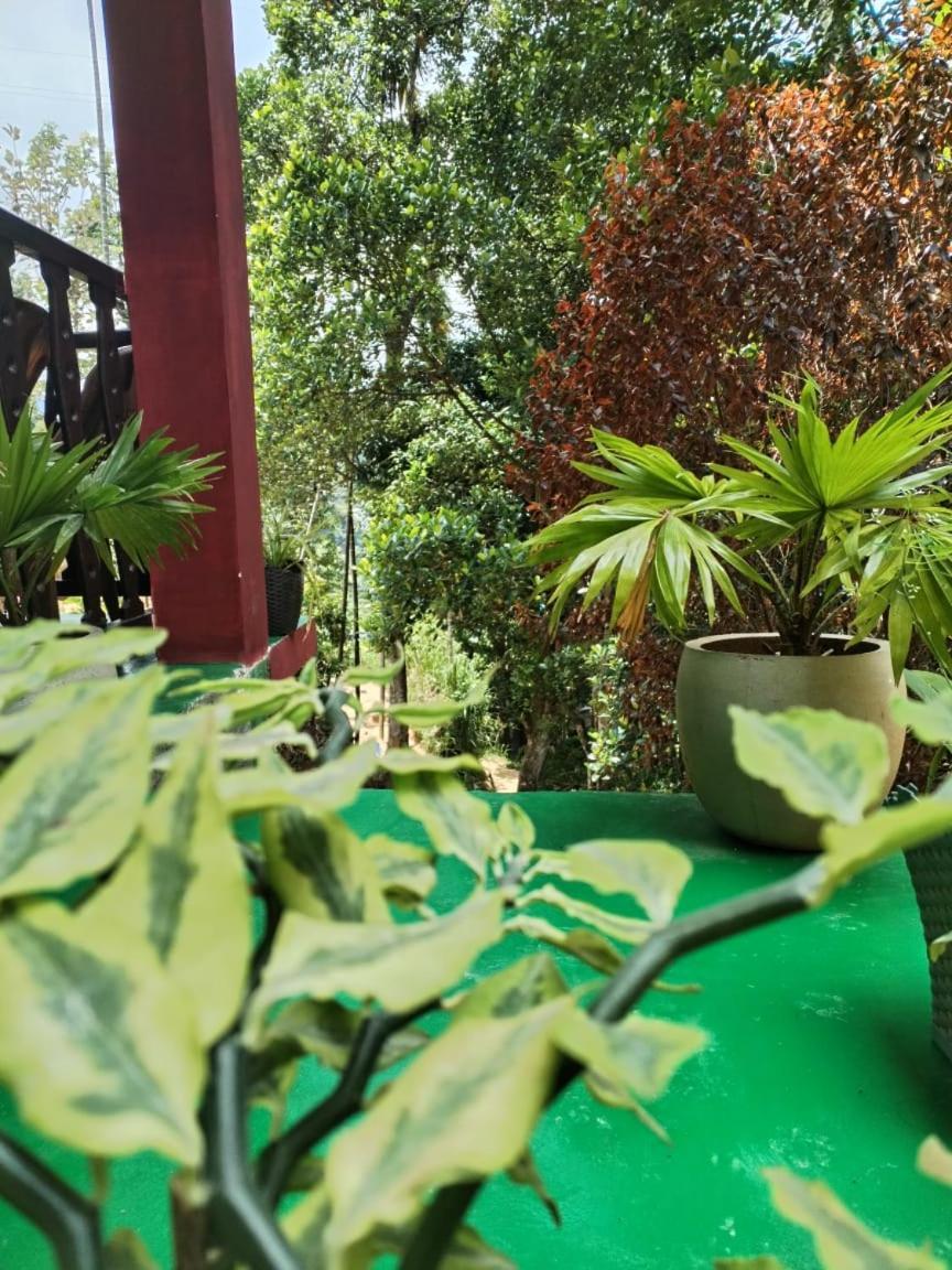 Ella Shali'S Home المظهر الخارجي الصورة