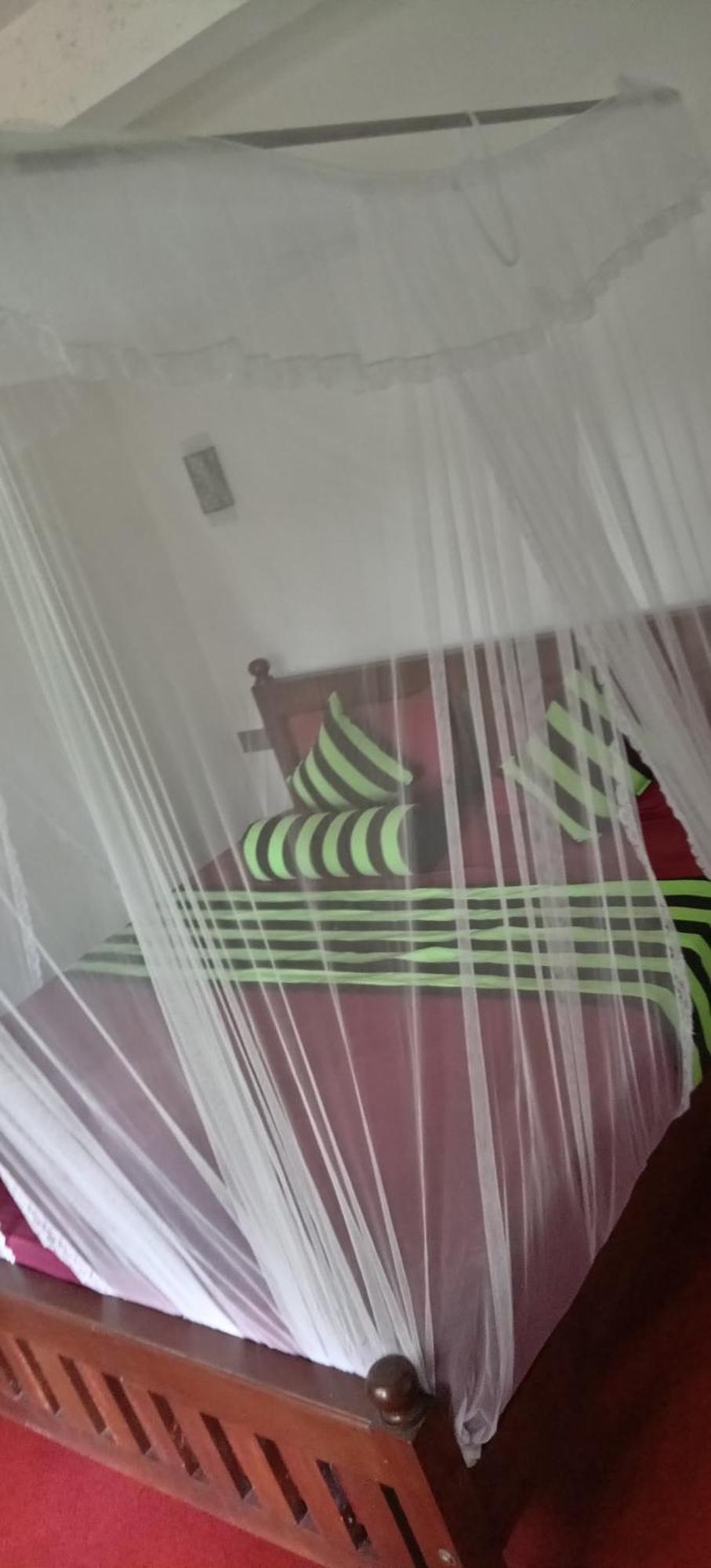 Ella Shali'S Home المظهر الخارجي الصورة